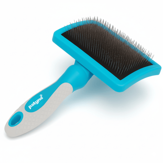 Brosse douce, pensée pour révéler l’éclat du poil sans irriter la peau. - Patyne