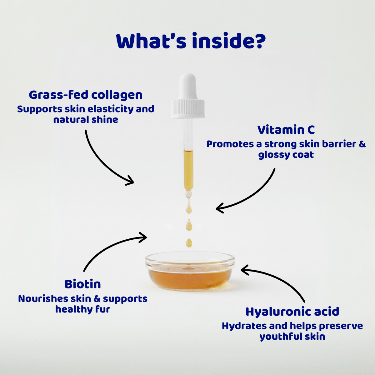 Pawgevity™ Natural Collagen for Dogs - Patyne