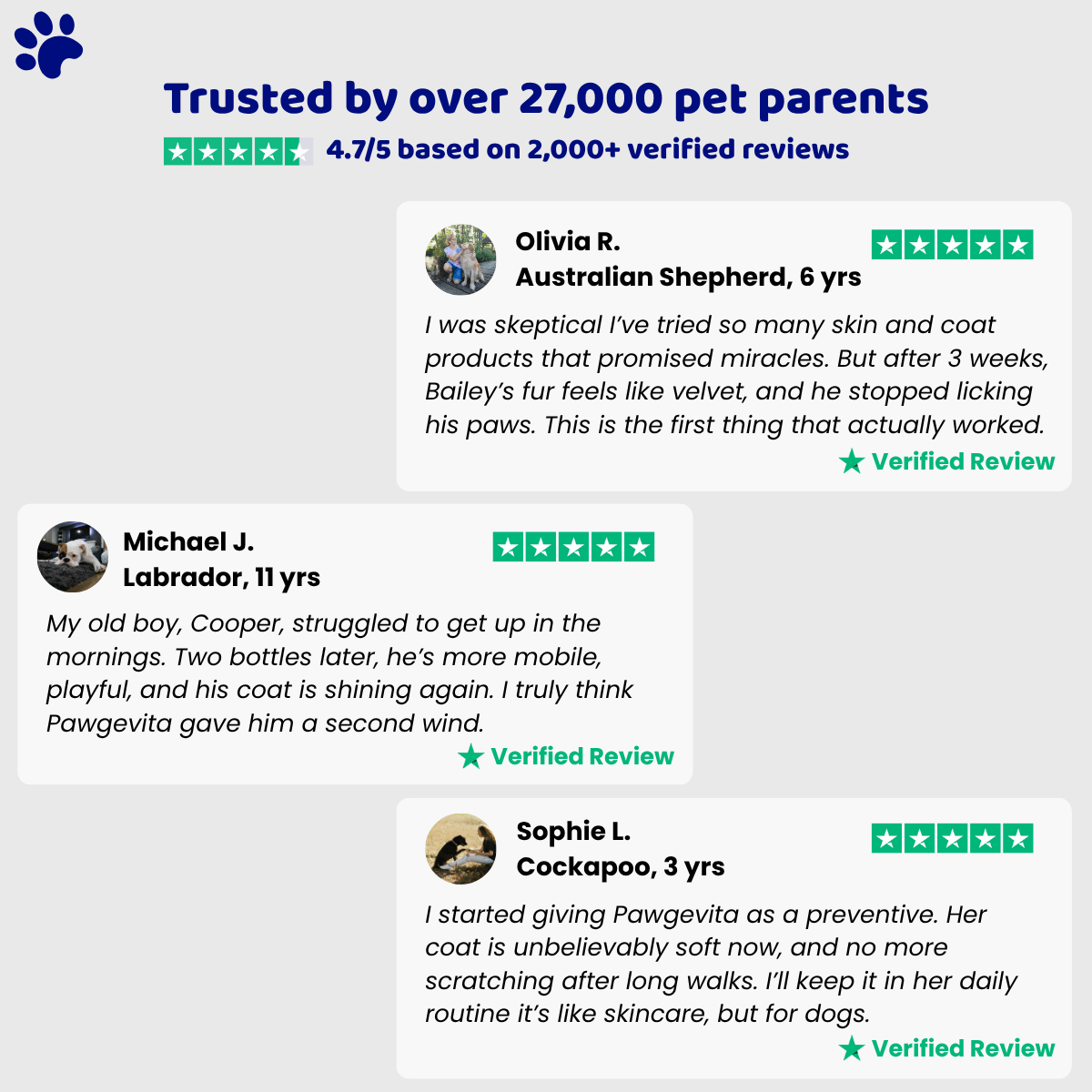 Pawgevity™ Natural Collagen for Dogs - Patyne