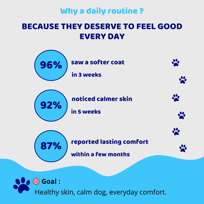 Pawgevity™ Natural Collagen for Dogs - Patyne